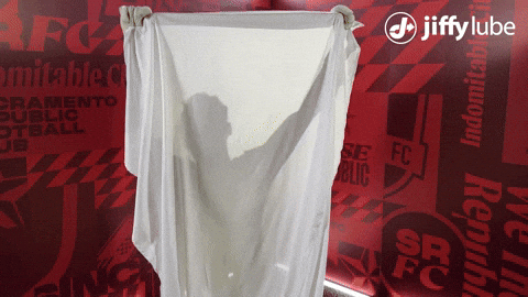 Republicfc Sacrepublic GIF by Sacramento Republic FC