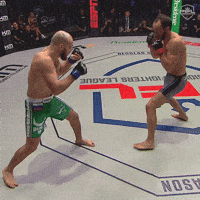 pflmma mma espn knee pfl GIF