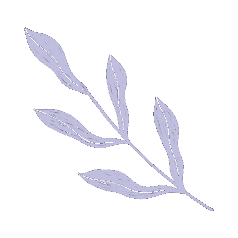 Illustration Leaves Sticker