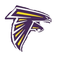 falcons STICKER by imoji