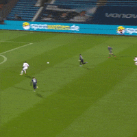 1 Fc Cologne Football GIF by 1. FC Köln