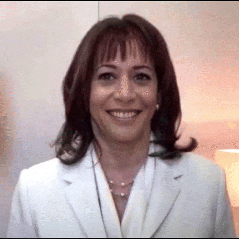 Sad Kamala Harris GIF