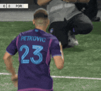 Regular Season Celebration GIF by Major League Soccer