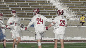 Celebration Goal GIF by Colgate Athletics