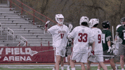 Celebration Goal GIF by Colgate Athletics