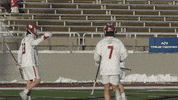 Celebration Goal GIF by Colgate Athletics