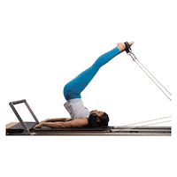 HarshikadPatel  Sticker