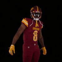Brian Robinson Football GIF by Washington Commanders