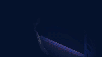 a tale of avian misery GIF by Vimeo