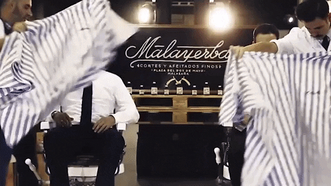 Palibex giphyupload moustache transporte pale GIF