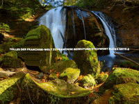 Fun Party GIF by FranchiseONE.de