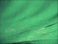 stop motion animation GIF by Charles Pieper