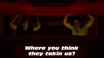 Where They Takin Us?