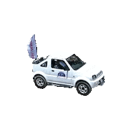 FinikasLines dolphin hydrofoil jeepsafari sarandacorfu Sticker