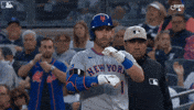 Jeff Mcneil Baseball GIF by New York Mets