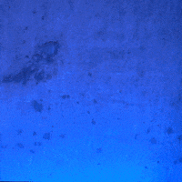 Womens Soccer Sport GIF by BYU Cougars