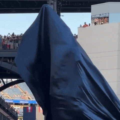 New England Patriots Nfl GIF by Respective