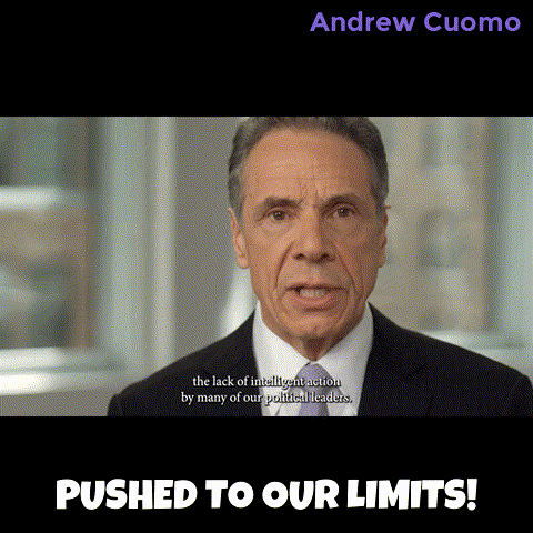 New York Vote GIF by Andrew Cuomo