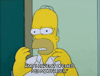 homer simpson GIF