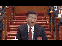 迷因 GIF