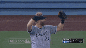 cws GIF by MLB