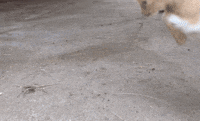 GIF by Mashable