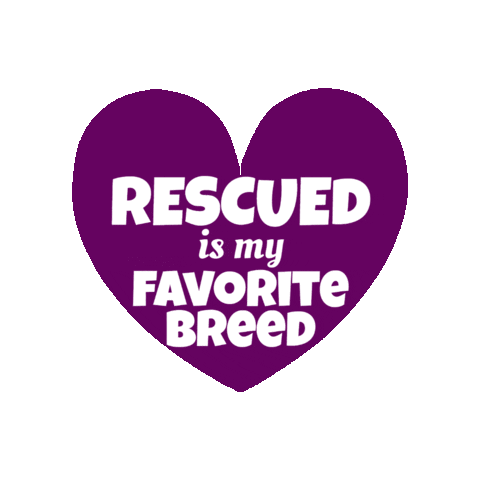 fosterbubbies giphygifmaker heart rescue purple heart Sticker
