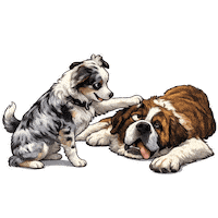 Wake Up Love Sticker by abana a cauda