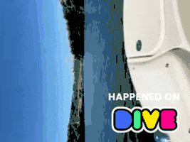 Twitch Boat GIF by Dive