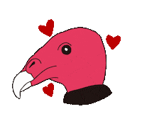 Turkey Vulture Bird Sticker