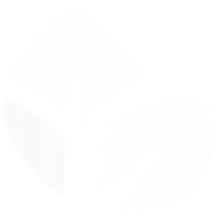 White Leaves Sticker by Thrive Church