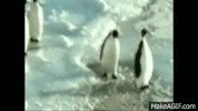 thug life GIF