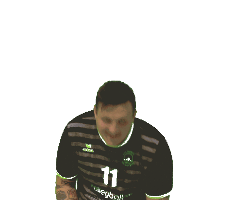 Felix Sieg Sticker by VolleyballFREAK