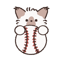 Baseball Ok Sticker by koimoffee