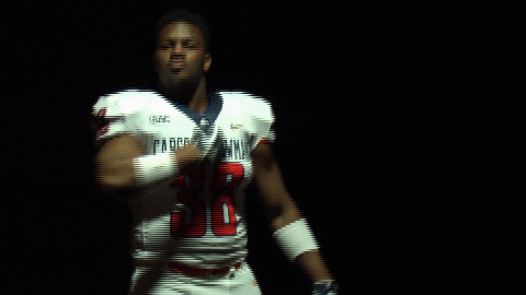 cnfb18 cnfootball18 GIF by Carson-Newman Athletics