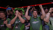 Fans Cheering GIF by Alliance