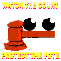 Right To Vote Election 2020 Sticker by Creative Courage