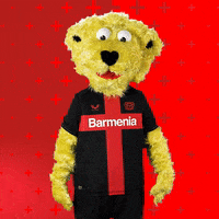 Bayer 04 Football GIF by Bayer 04 Leverkusen