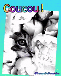 Wow GIF by TresorsDuMonde.ca