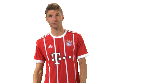 fc bayern wtf Sticker by Bundesliga