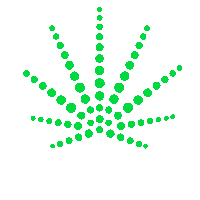festival_hibrido weed cannabis hibrido canabis Sticker