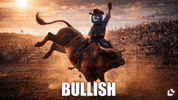 Send It To The Moon GIF by LitVM