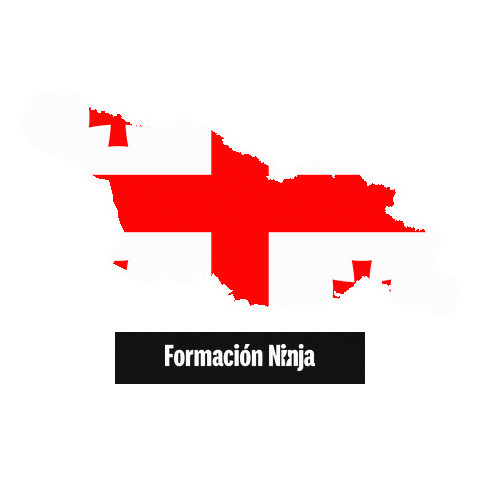 Flag Bandera Sticker by Formación Ninja