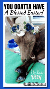 He Has Risen Happy Easter GIF by Goatta Be Me Goats! Adventures of Java, Toffee, Pumpkin and Cookie!