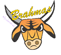Bt Sticker by Brahma Tech