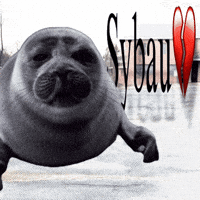 nikotoba meme seal niko sybau GIF