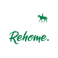 Standardbred Sticker by New Vocations Racehorse Adoption Program