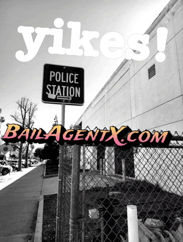 BailAgentX yikes bailagentxcom GIF