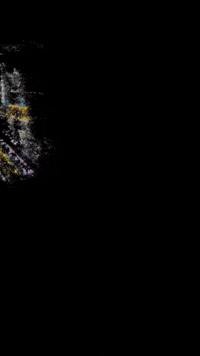 Subway Egypt GIF