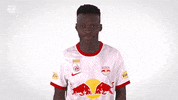 Happy Red Bull GIF by FC Red Bull Salzburg
